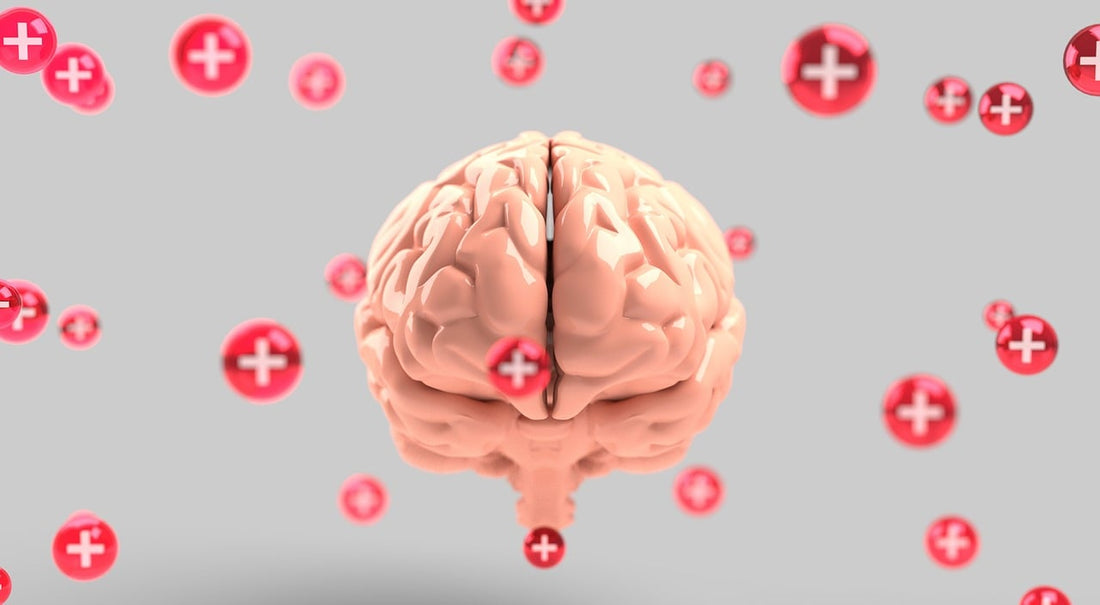 honey for brain health