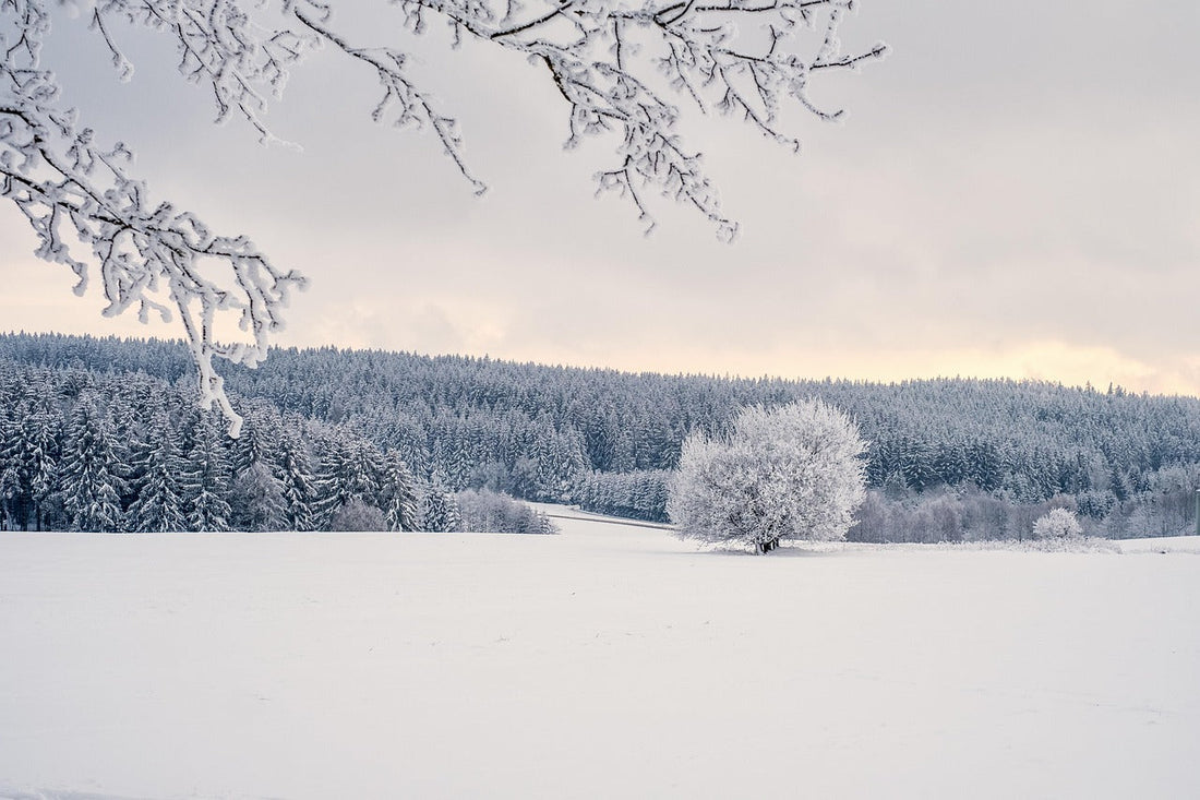 winter season