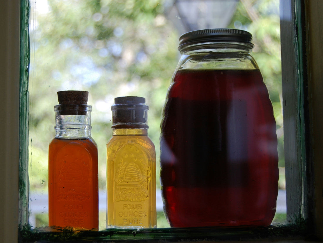 Dark Honey vs. Light Honey: Which is Better?