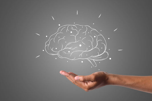 hand holding human brain
