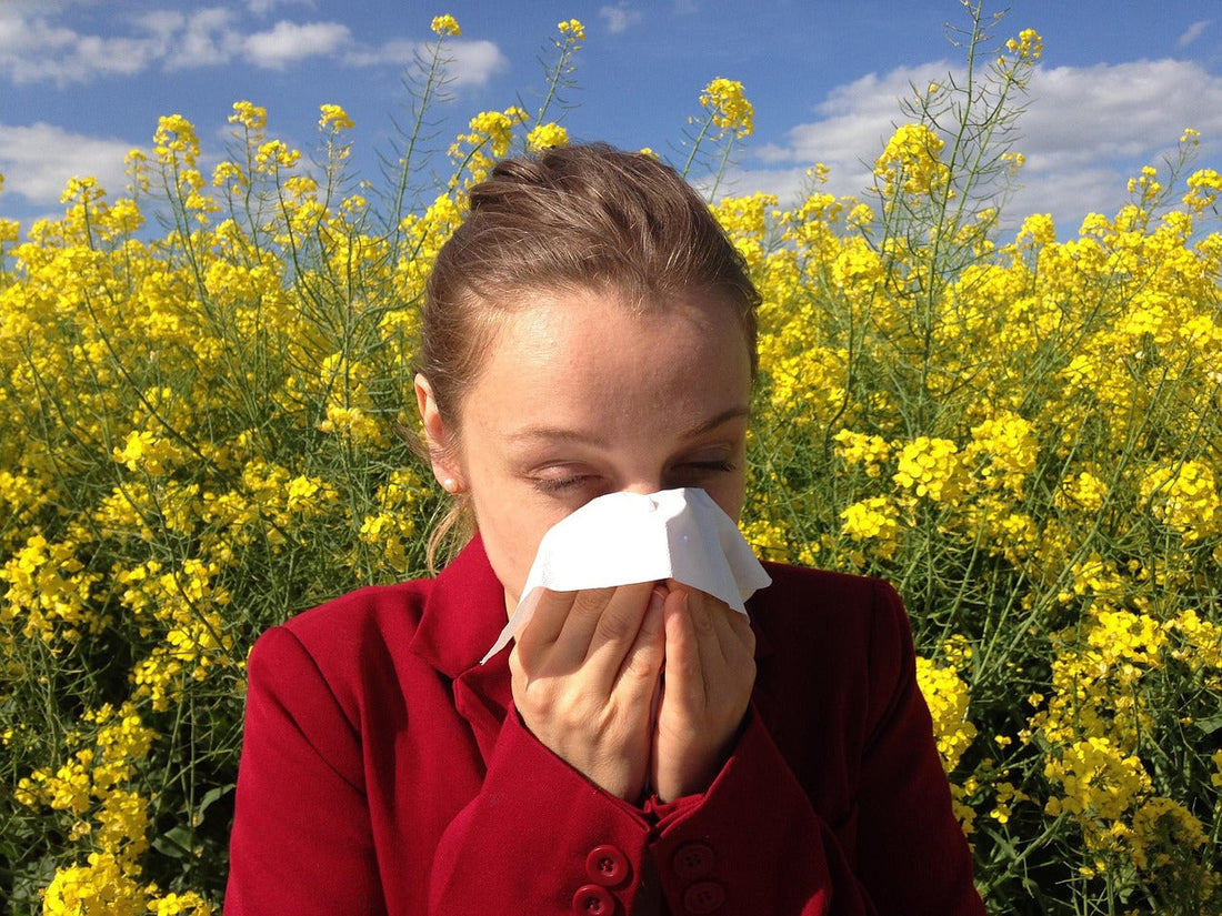 hay fever and allergies