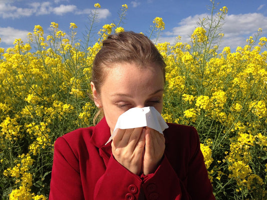 hay fever and allergies