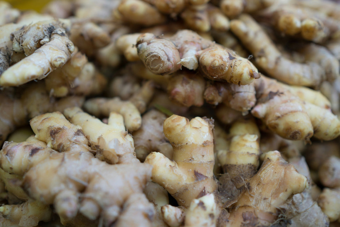 ginger toots