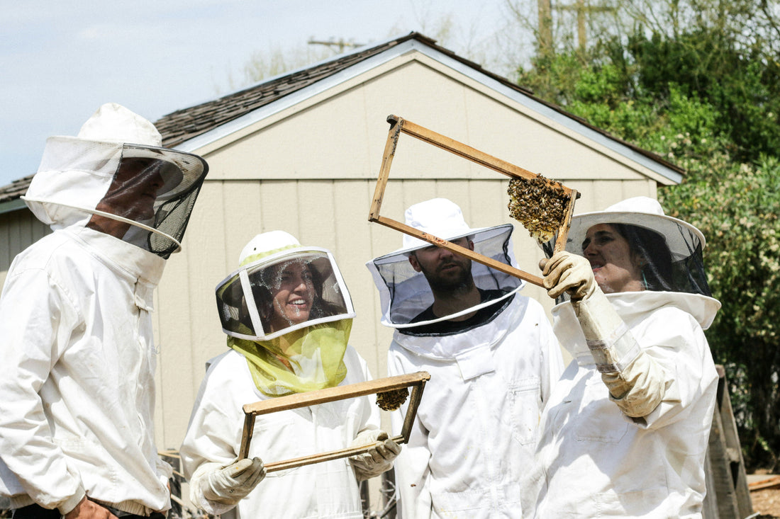 Are Women Better Beekeepers?