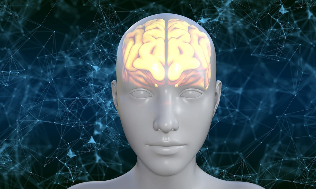 Is Honey Good for Brain?