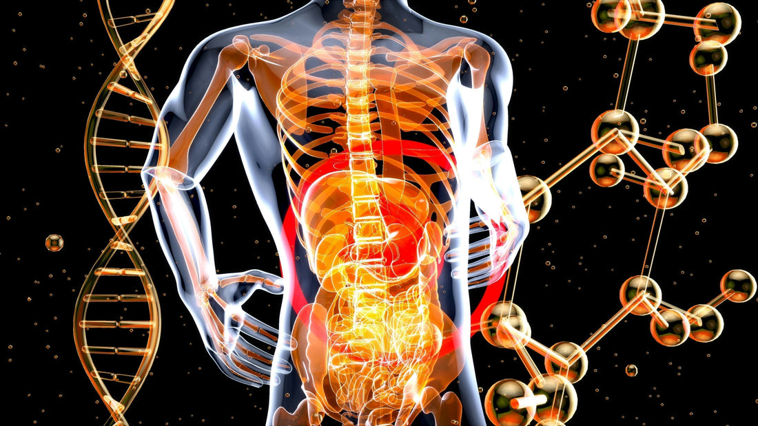 Is Honey Good for Gut Health? Here’s What We Know