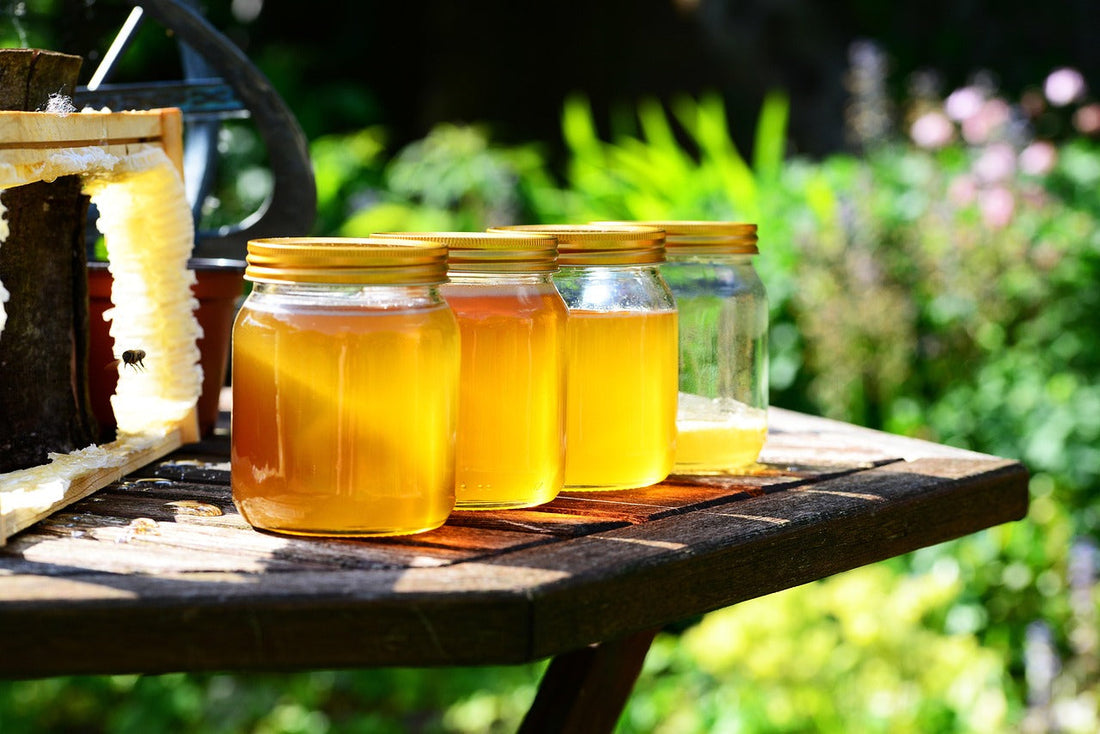 honey jars