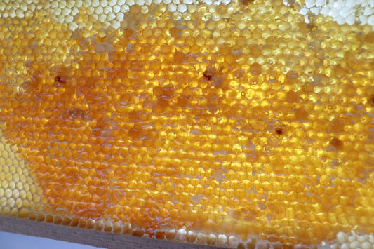 Why Americans Can’t Get Enough of Honey